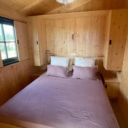 Lodges Dans Les Vignes Domaine Terre Des Mages Saint-Genies-de-Fontedit Extérieur photo