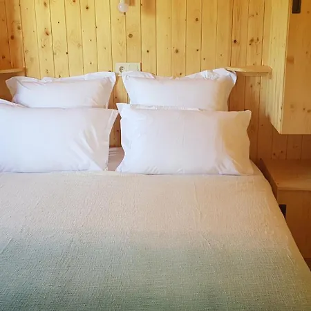 Lodges Dans Les Vignes Domaine Terre Des Mages Saint-Genies-de-Fontedit Extérieur photo