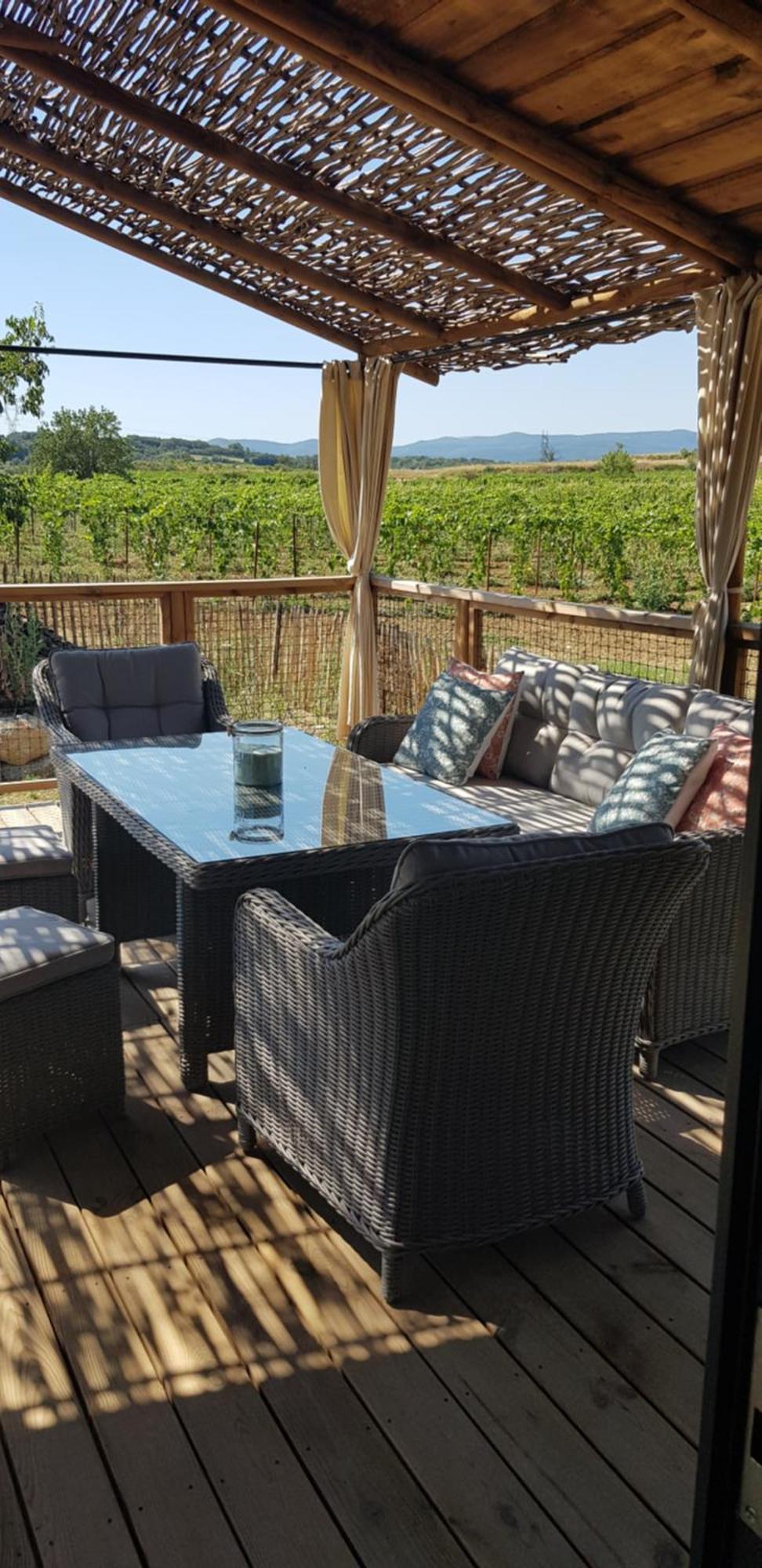 Dans Les Vignes Domaine Terre Des Mages
